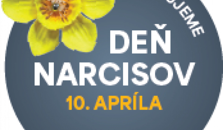 1. fotografia fotogalérie Deň narcisov 2025 - 10. Apríl - foto