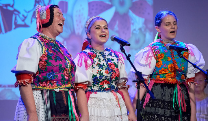 22. fotografia fotogalérie Babička okresu Stará Ľubovňa (30. 04. 2019)