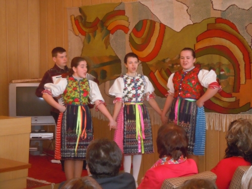 201303280932470.dscn3995