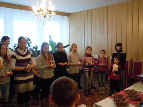 201312292226110.dscn6026