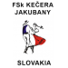 FSk Kečera - Poniže Jakubjan 